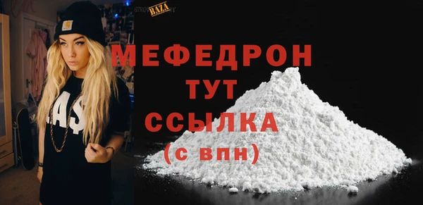 индика Коряжма