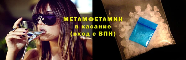 прущие грибы Нея