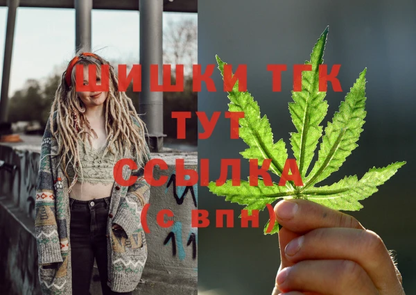 мдпв Козельск
