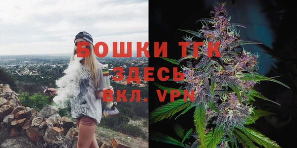 индика Коряжма
