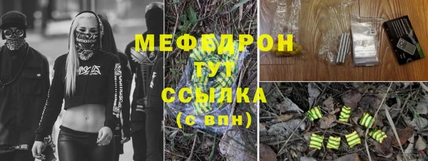 мдпв Козельск