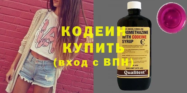 индика Коряжма