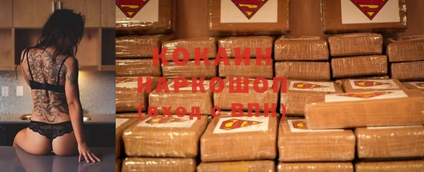 индика Коряжма