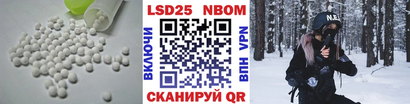 блэк спрут сайт  Шенкурск  ЛСД экстази кислота 