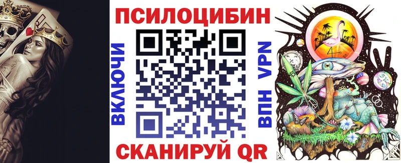 мориарти Telegram  Шенкурск  Псилоцибиновые грибы GOLDEN TEACHER 
